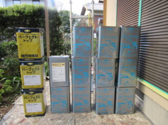 パーフェクトトップ、DANフィーラー