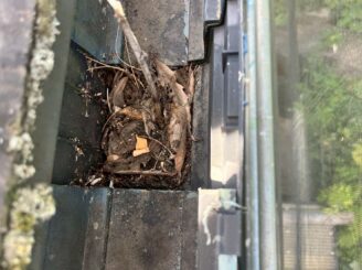 雨樋など細かな部分もきれいに掃除し、塗装に備えます。