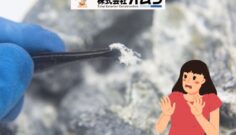 外壁塗装でアスベストが見つかったら？安全な対応策と注意点