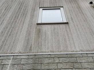 藻・カビの繫殖