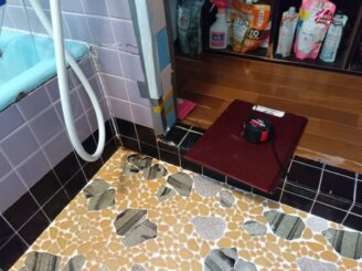 浴室入り口・脱衣所はシロアリ被害により腐食しています。