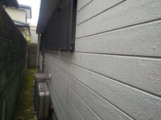 藻・カビの繫殖