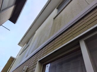 藻・カビの繫殖
